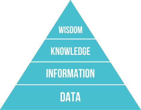 what does the dikw pyramid represent.